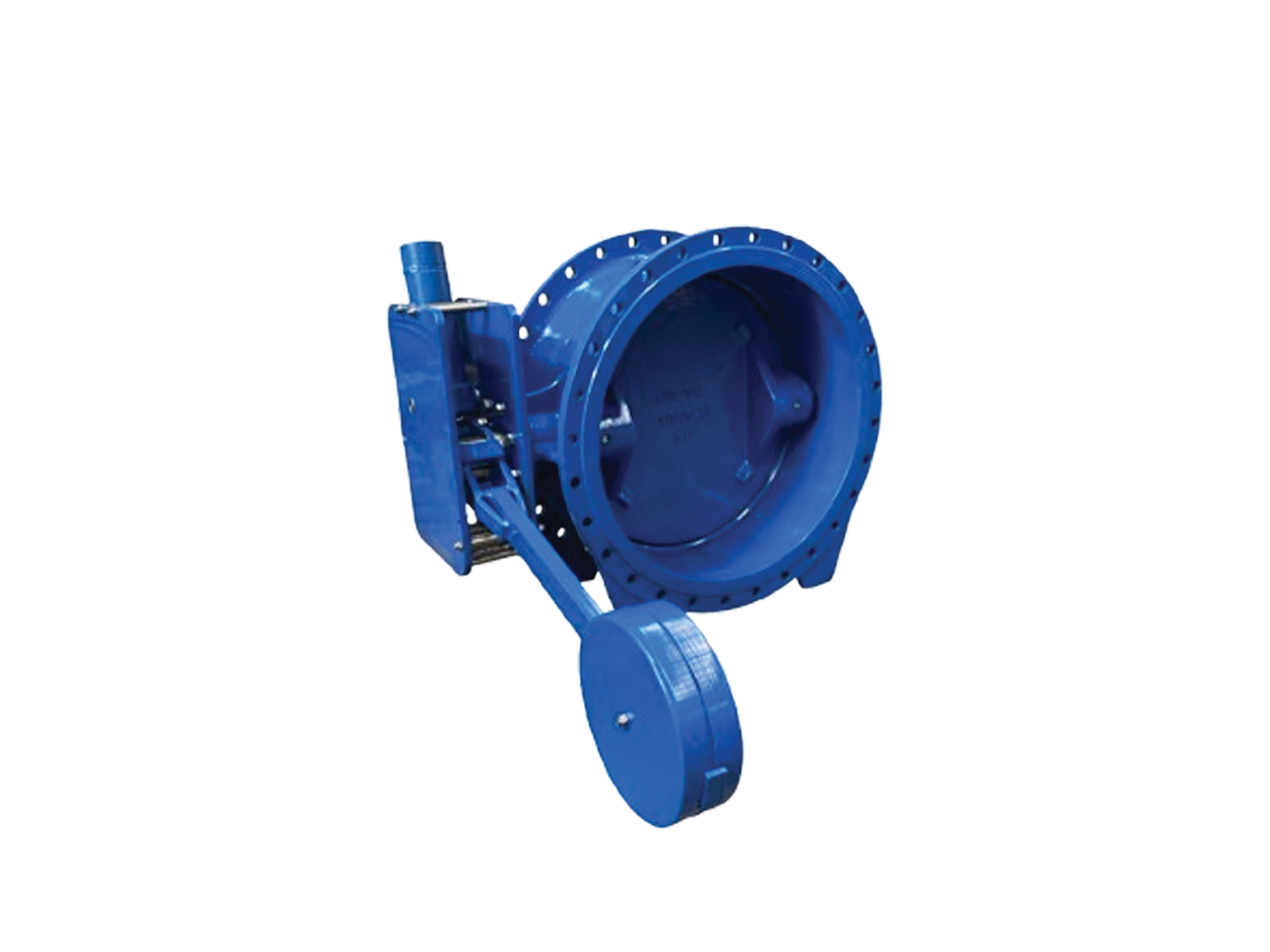Combined Butterfly Check Valve