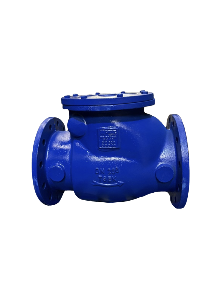 Swing Check Valve