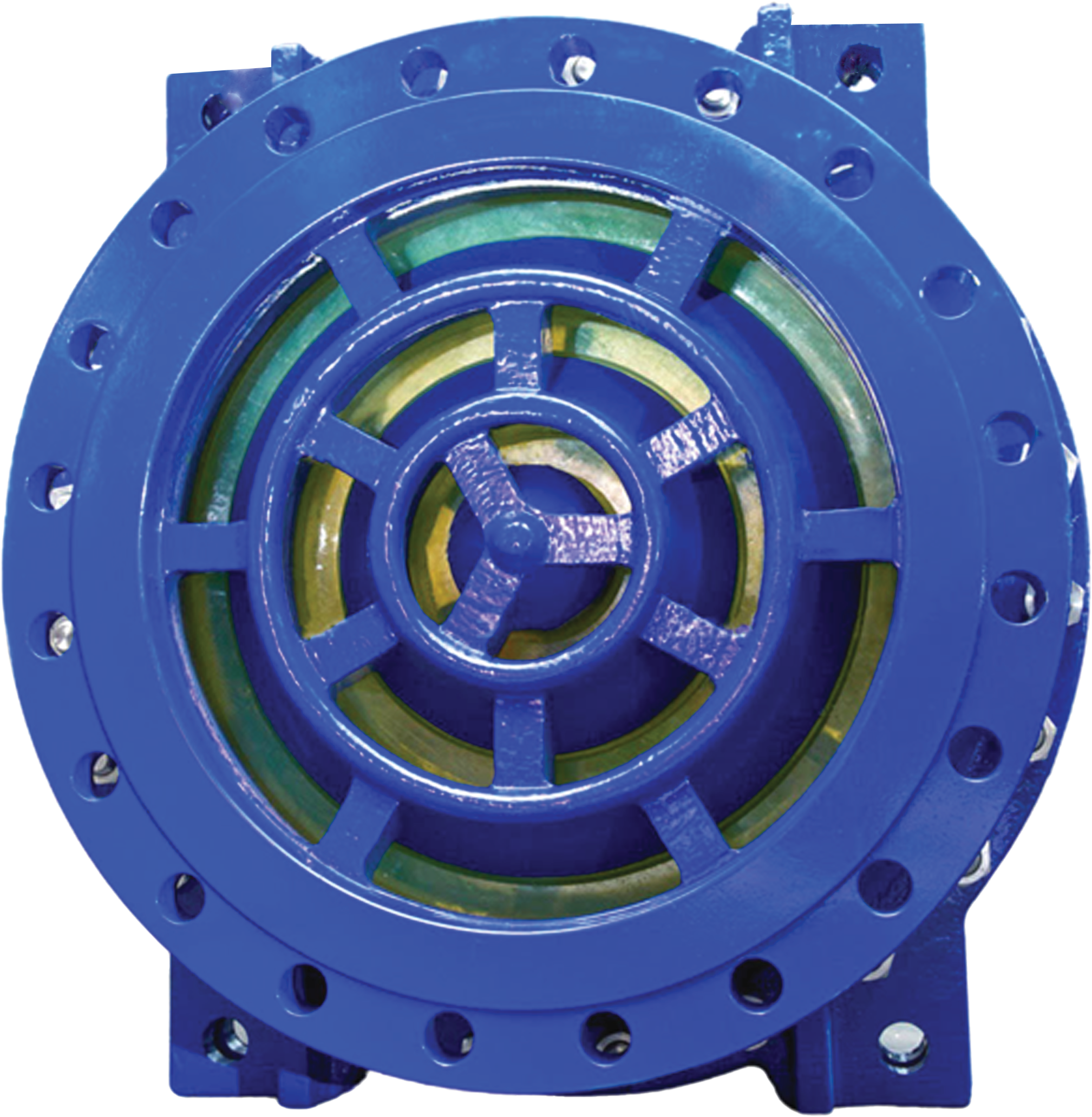 Quick Closing Check Valve