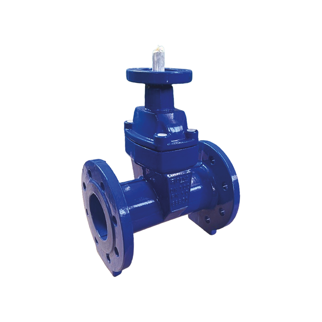 Resilient Seated, Non Rising Stem Gate Valve F5