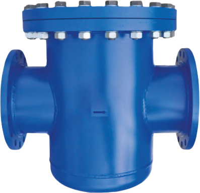 Basket Type Strainer