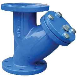 Y Strainer